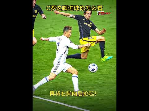亚洲男网之,张之臻书写,辉煌新篇,世界杯小组赛,2026世界杯,小组赛赛程,球队分析,赛事预测
